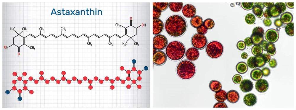 astaxanthin chemical structure astaxanthin chemical structure