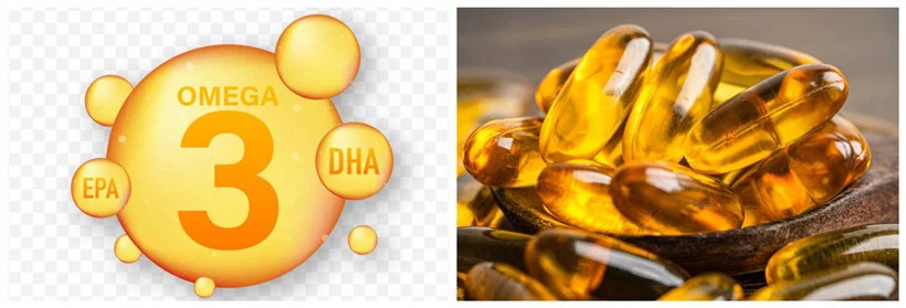DHA algae oil DHA algae oil