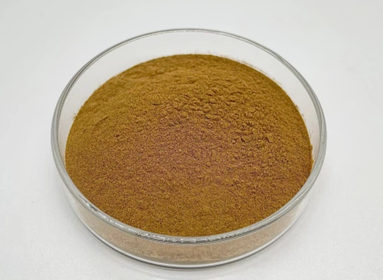 product-453-331 product-453-331