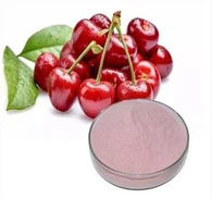 Púdar Sliocht Silíní Tart