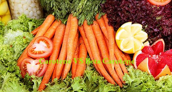 Cad é an Difríocht idir Carotene Agus Béite Carotene?