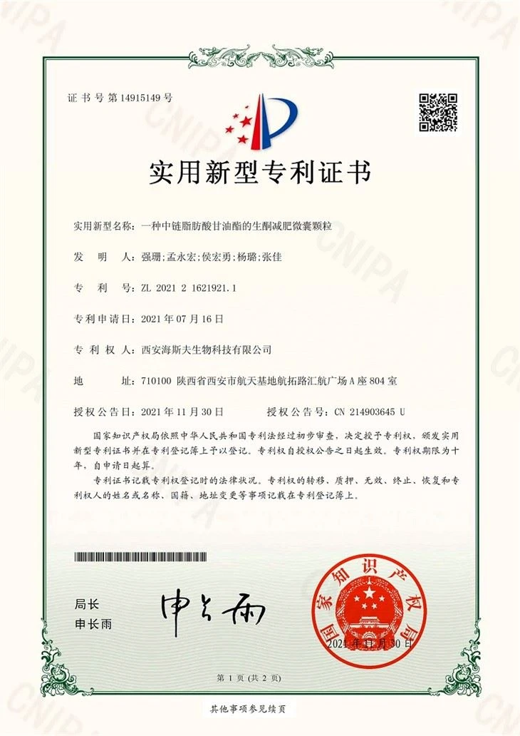 Patent Certificate -1