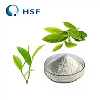 Púdar L-Theanine Pure